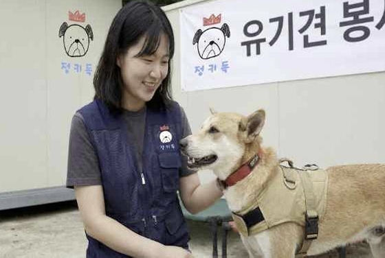 유기견 봉사활동